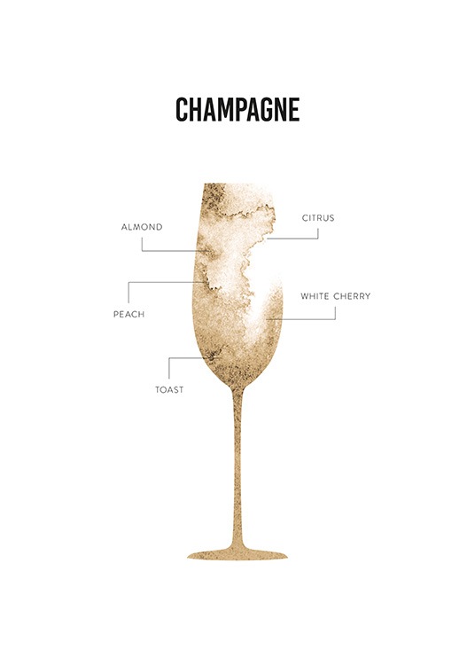 Champagne Anatomy Affiche / Affiches cuisine chez Desenio AB (12118)