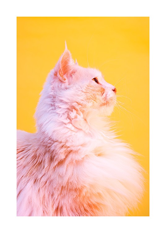 Pink Cat Affiche