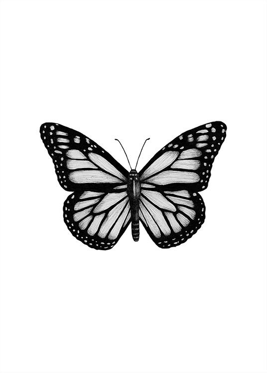 Butterfly Drawing Poster / Zwart wit bij Desenio AB (12307)
