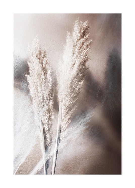 – Foto van pampasgras in beige op een bruine achtergrond