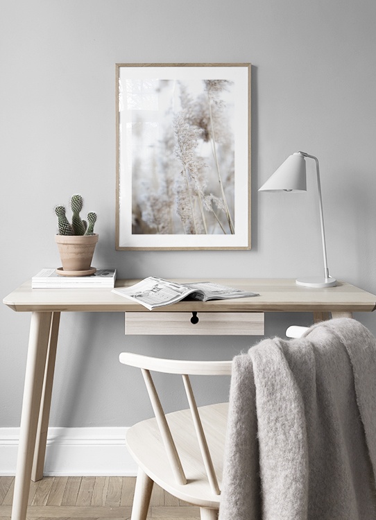  – Foto van riet in beige met een rietstengel duidelijk op de voorgrond en een vage achtergrond