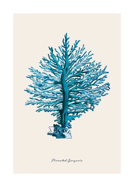Blue Pinnated Gorgonia Poster