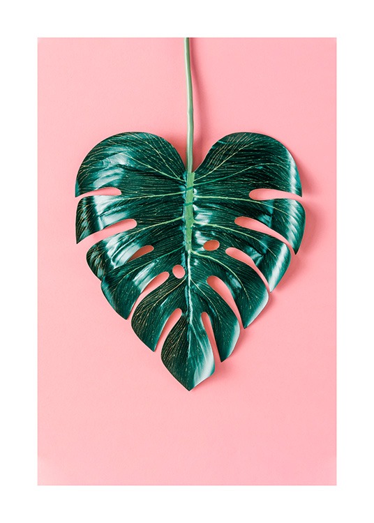 Heart-Shaped Monstera Poster / Botanisch bij Desenio AB (12524)