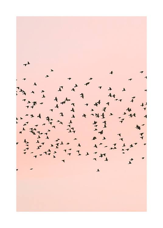 Pink Sunset Birds Poster / Naturmotive bei Desenio AB (12601)