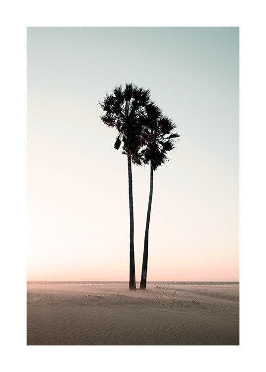 Coconut Palm Trees Poster