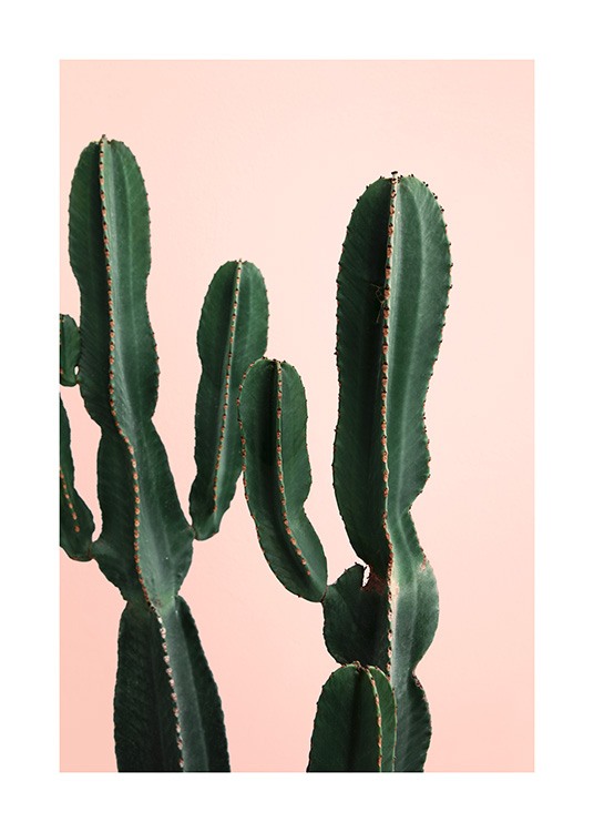 Cactus Twins Affiche