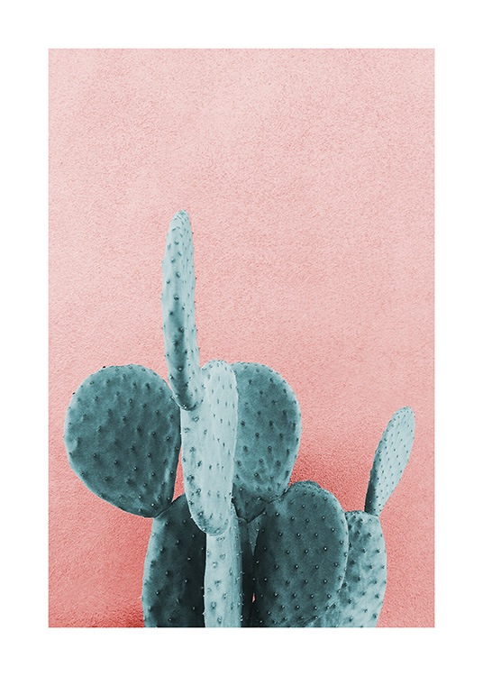 Mint Cactus Affiche
