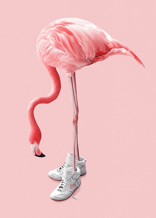 Sneaker Flamingo Affiche / Photographie chez Desenio AB (12942)