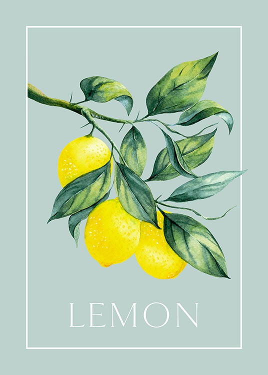 Vintage Lemons Poster