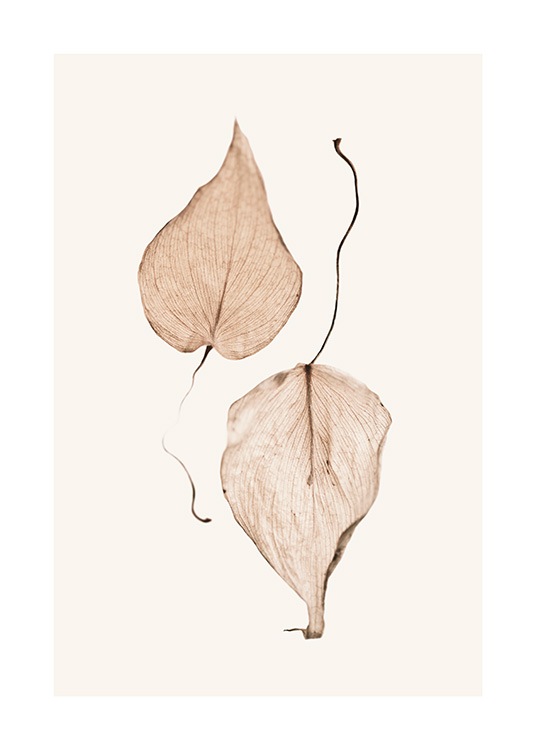 Two Dried Leaves Affiche