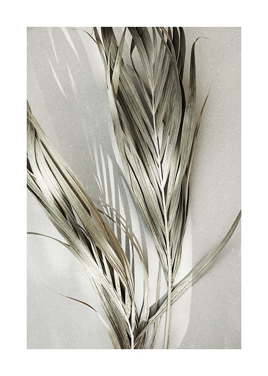 Dry Palm Leaves Poster