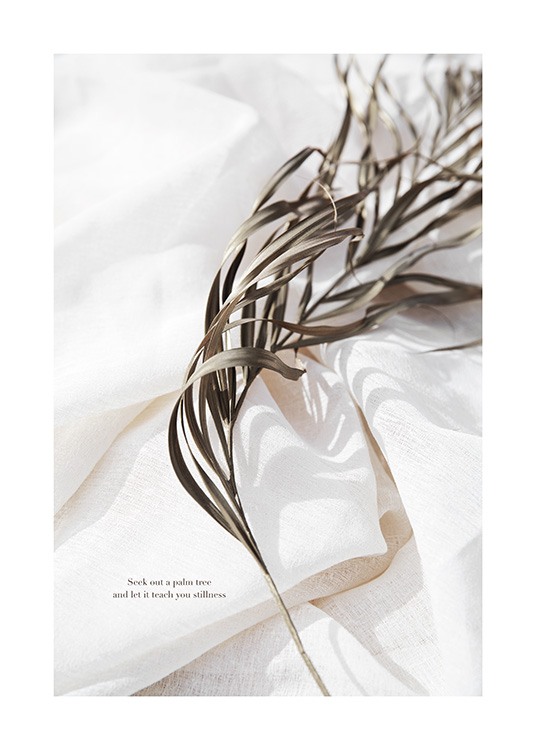 Delicate Palm Leaves No2 Poster