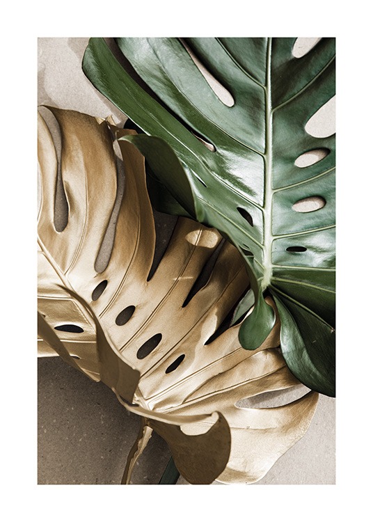 Gold Monstera No2 Affiche