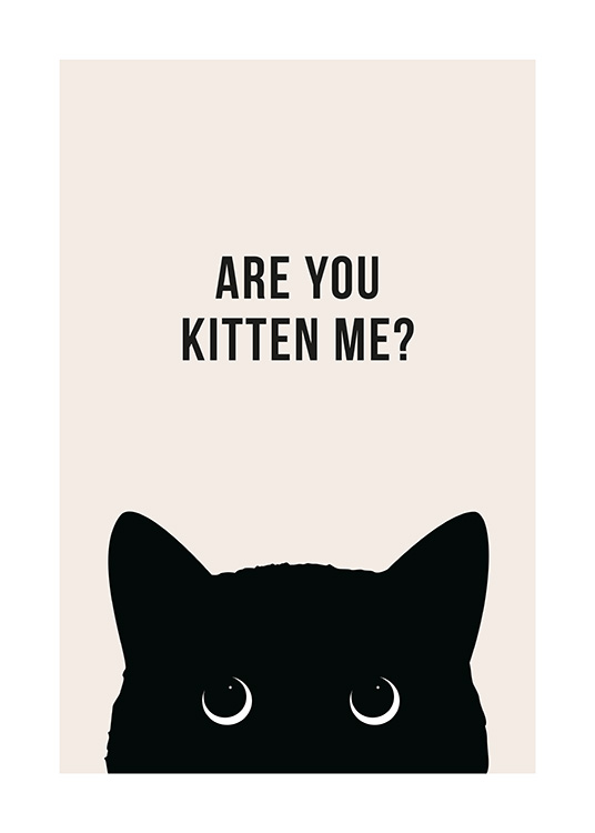 Are You Kitten Me? Affiche