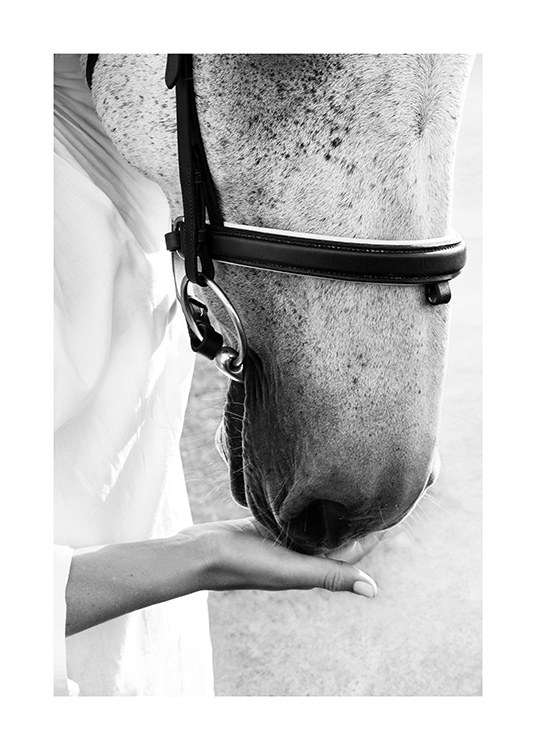 Sweet Friend Affiche