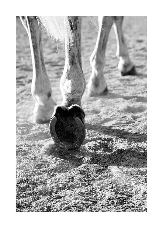 Horse Hoofs Affiche