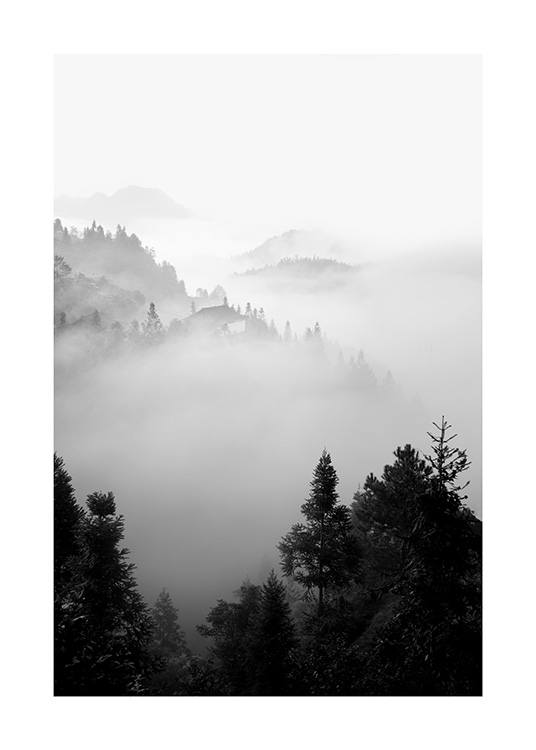 The Morning Mist Affiche Foret Brumeuse Desenio Be