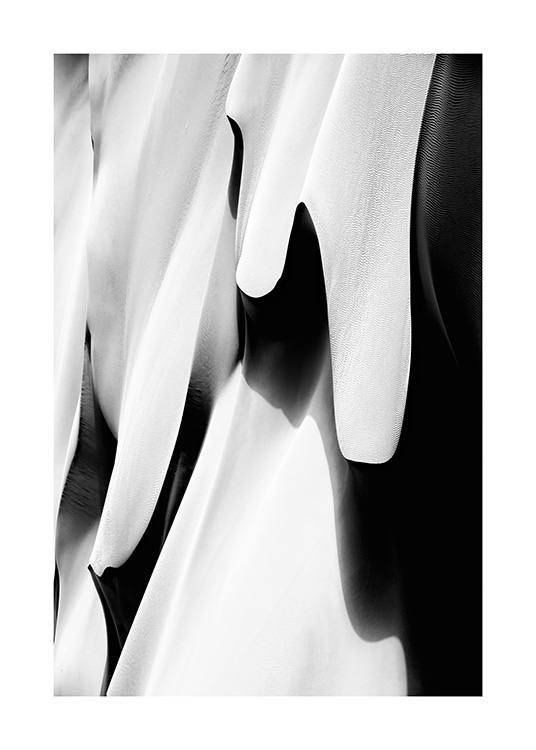 Abstract Desert B&W Affiche