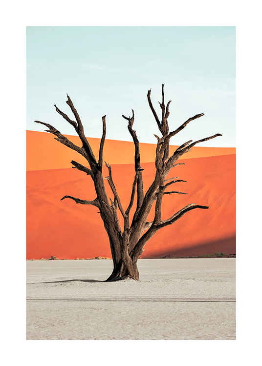 Red Desert Affiche