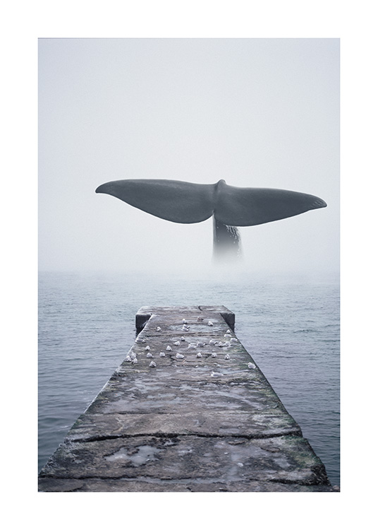 Whale Tail Affiche