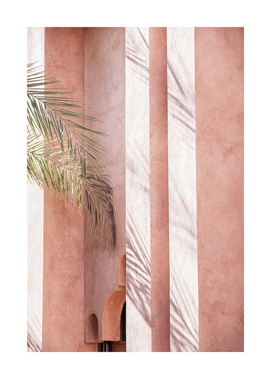  - Photographie de feuilles de palmier se posant sur un mur rose