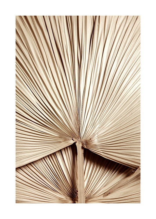 Golden Palm Leaf No2 Poster