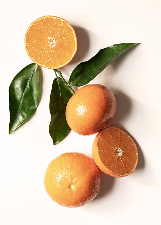 Garden Oranges Poster