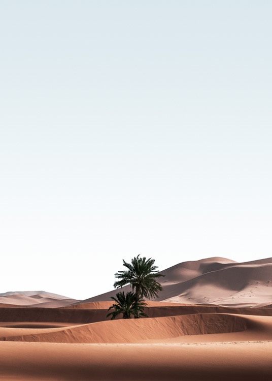 Merzouga Desert Affiche