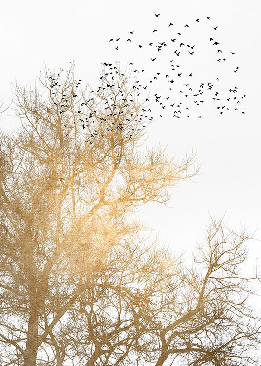  – Illustration graphique d’oiseaux noirs et d’un arbre doré sur un fond blanc