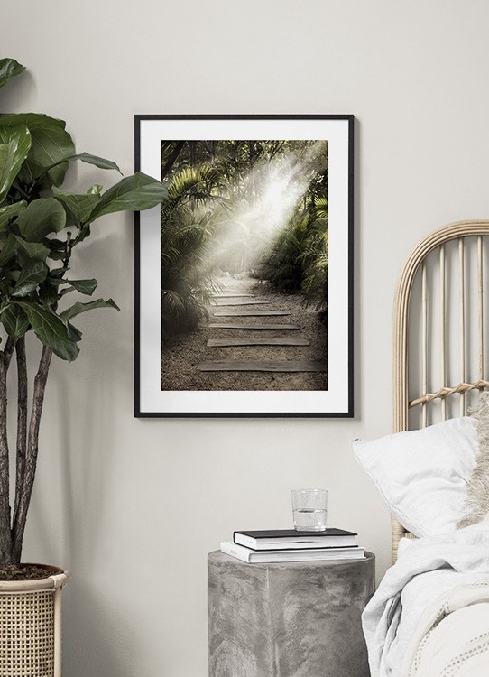  – Foto van palmbladeren rondom een pad in het zonlicht