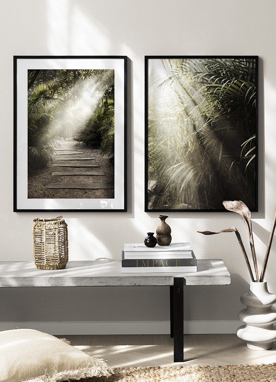  – Photographie de feuilles de palmier entourant un sentier en plein soleil