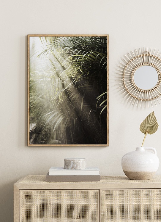  – Foto van zonlicht dat op groene palmbladeren schijnt