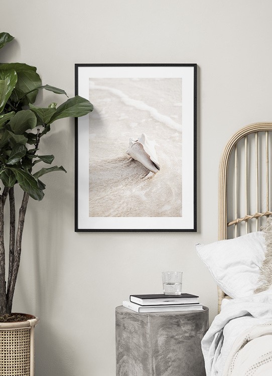  – Foto van een lichtbeige schelp in water en zand