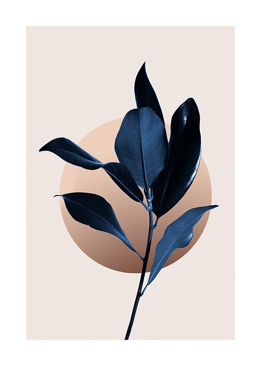  – Feuilles de magnolia en bleu foncé avec un cercle illustré graphique derrière, sur un fond beige