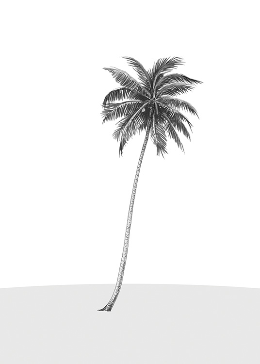 Lonely Palm Tree Affiche