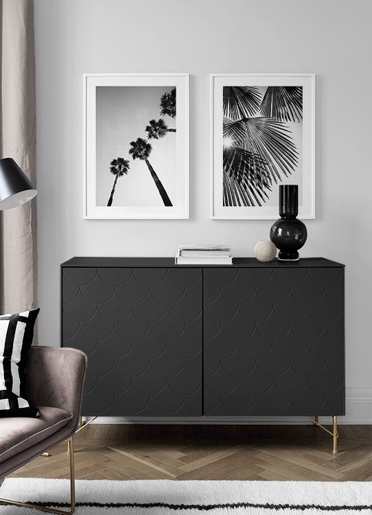  – Zwart wit foto van zonlicht dat door waaierpalmbladeren schijnt