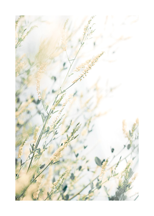 Light Floral Affiche
