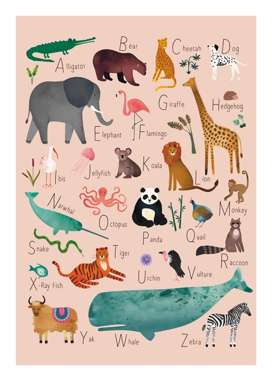 Alphabet Animals 1 Affiche