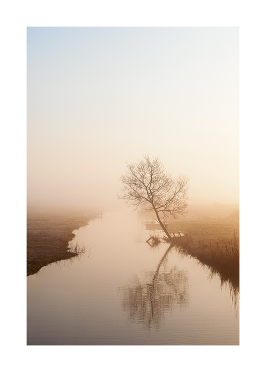 Misty Morning Light Poster
