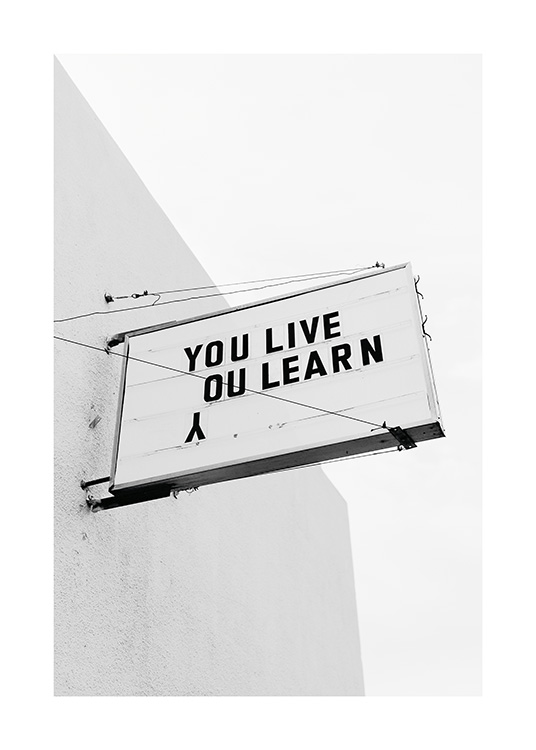 You Live You Learn Affiche