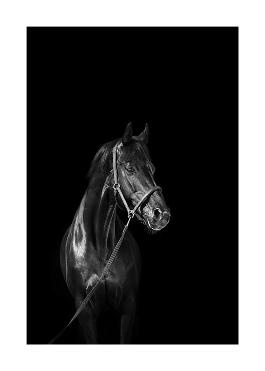 Dark Champion Affiche