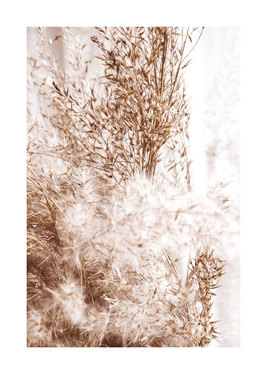 Beige Bulrush Poster