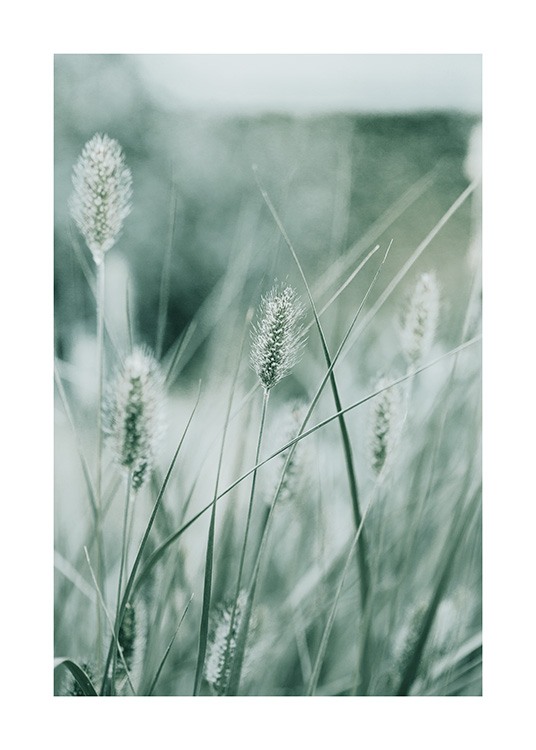 Poetry of Nature No1 Poster