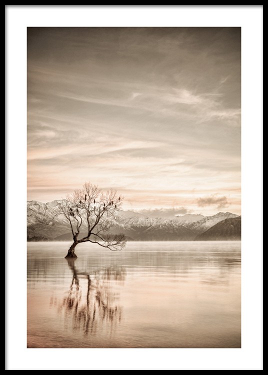  – Photographie d’un lac immobile avec un arbre dessus et des montagnes à l’arrière-plan
