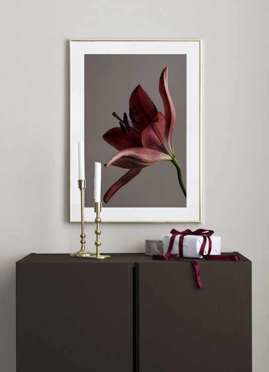  – Photographie en gros plan d’une fleur en rouge, sur un fond marron