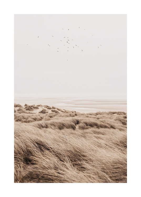  – Photographie d’oiseaux survolant des dunes de sable avec de l’herbe dessus