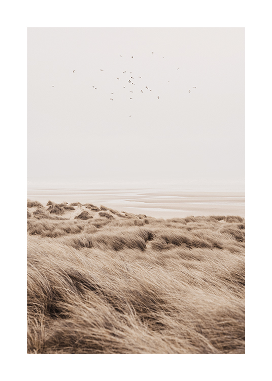 Beige Sand Dunes Poster