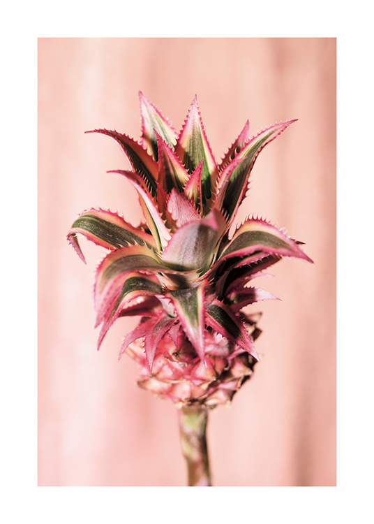 Pineapple Flower No1 Poster