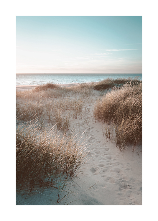  – Photographie de dunes de sable couvertes d’herbe et de l’océan à l’arrière-plan