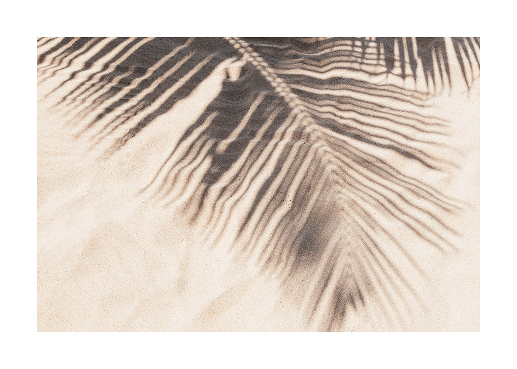  – Photographie d’une plage de sable avec l’ombre d’une grande feuille de palmier